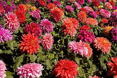 发售13年后 Steam《辐射3》正式移除GFWL依赖